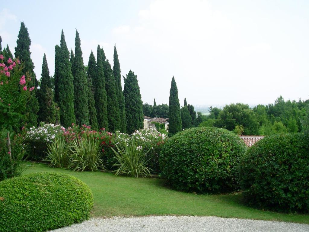 Villa Archi B&B San Pietro in Cariano Exterior photo